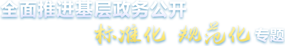 全面推进基层政务公开标准化规范化专题