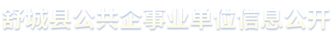 舒城县公共企事业单位