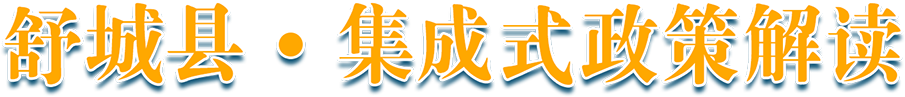 舒城县集成式政策解读